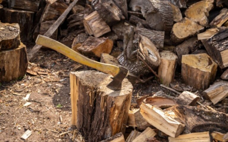 Régime fiscal des exploitations forestières : ça se précise pour le « forfait forestier » !