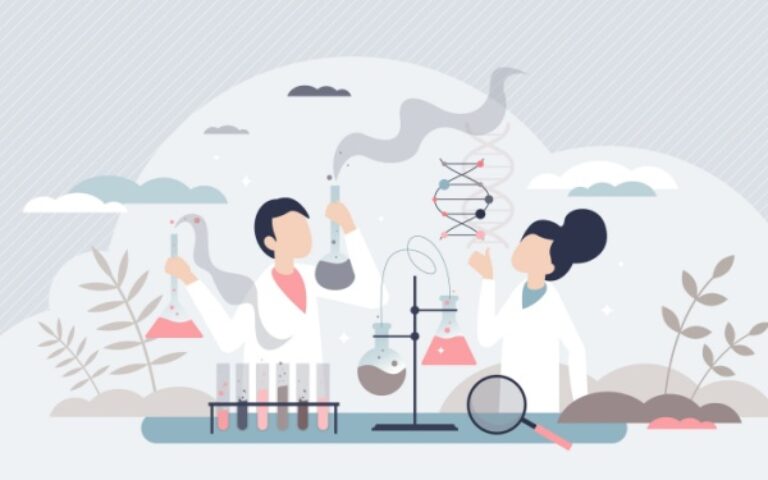 Indice du climat des affaires dans les activités spécialisées, scientifiques et techniques – Année 2025