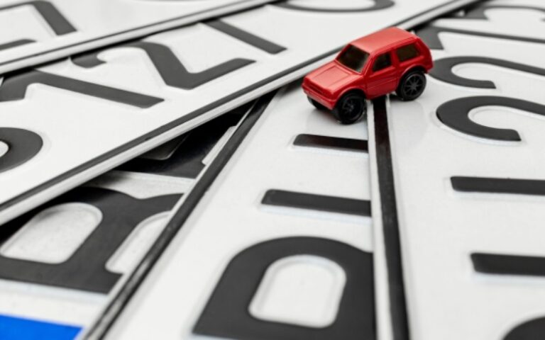 Immatriculation de voitures particulières – Année 2024