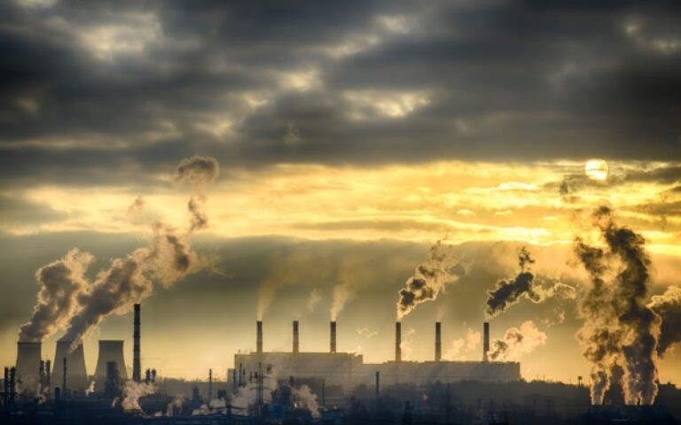 Taxe sur les activités polluantes : prolongation de l’exclusion de certains déchets