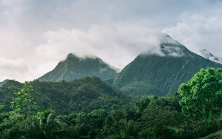 Indice des prix à la consommation en Martinique – Année 2024