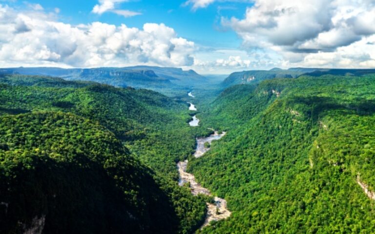 Indice des prix à la consommation en Guyane – Année 2024