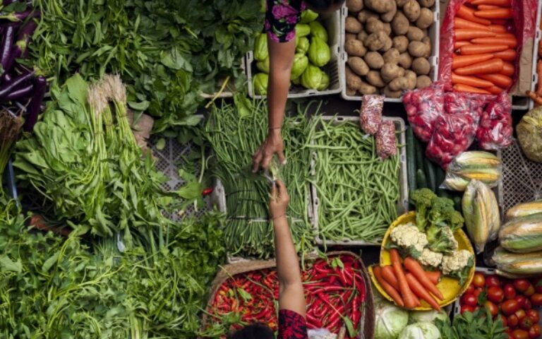 Loi sur la stabilité économique et la compétitivité du secteur agroalimentaire : quelles nouveautés ?