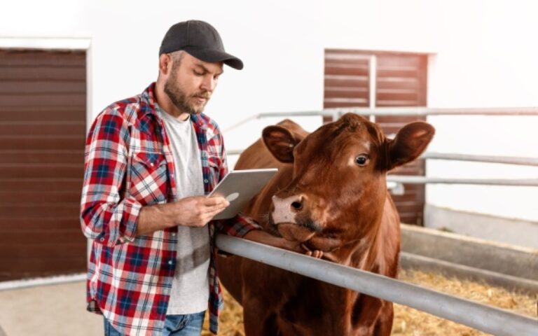 Agriculture : point sur la situation