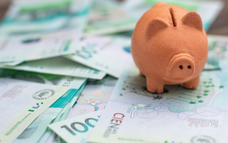 Montant du Smic et du minimum garanti au 1er janvier 2025