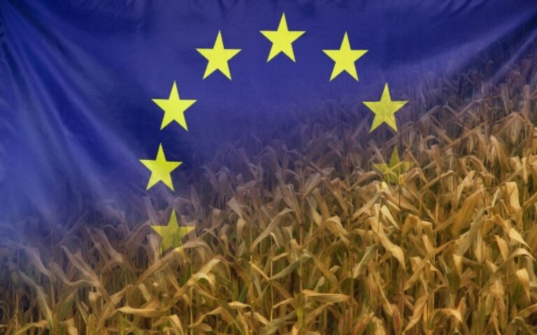 Aides de la PAC : des sanctions précisées