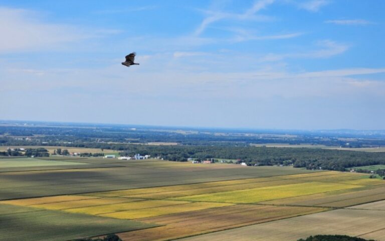 Indice national des fermages – Année 2025