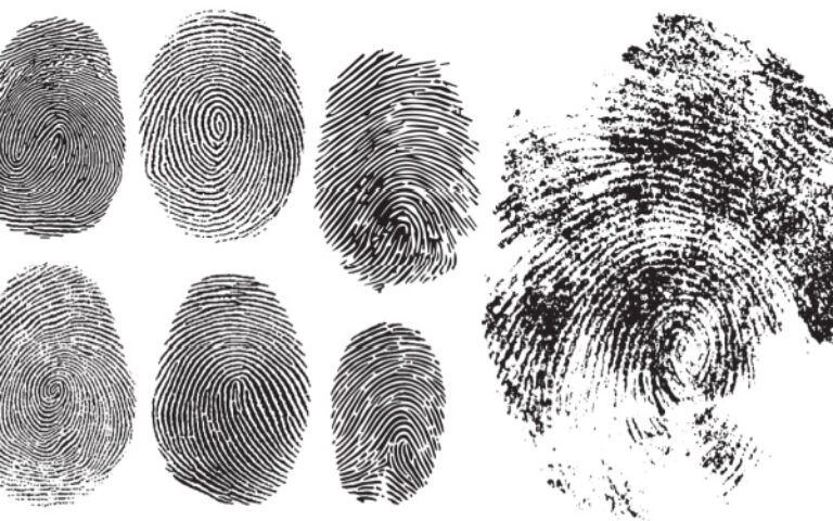Casier judiciaire et empreintes digitales : quelques nouveautés…