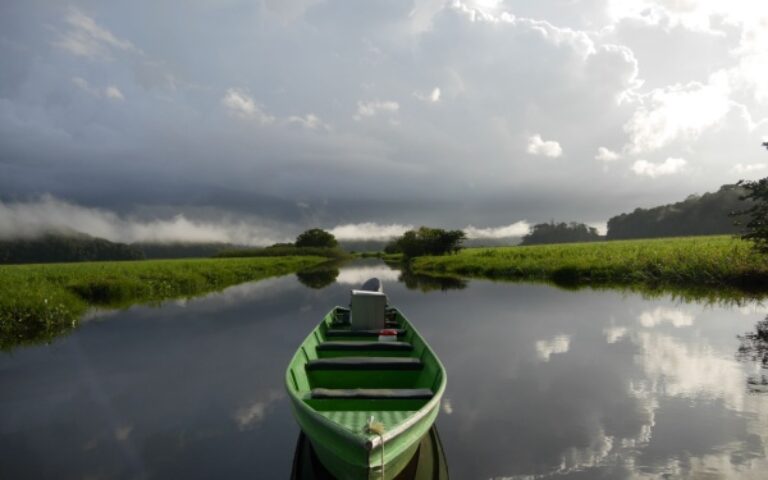 Indice des prix à la consommation en Guyane – Année 2025