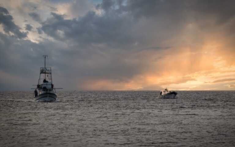 Licence de pêche européenne : rester actif pour conserver ses droits