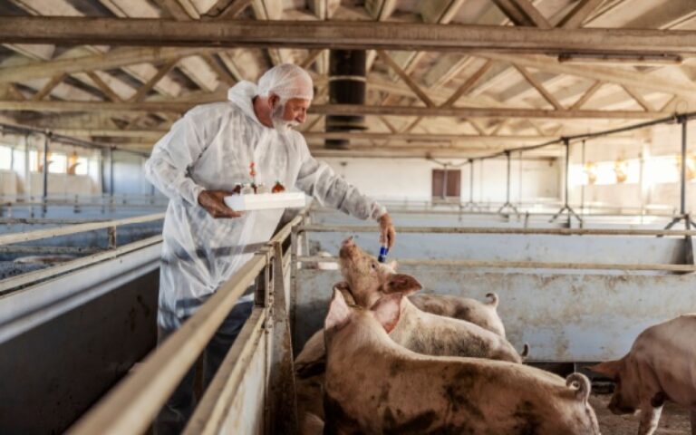 Tuberculose dans les élevages : évolution des mesures de contrôle