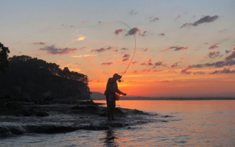 Pêche de loisir : un cadre pour les pêcheurs amateurs