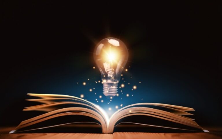 Redevances des procédures INPI – Année 2025