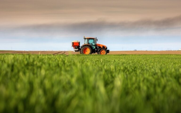 FranceAgriMer et organisations de producteurs : des sanctions possibles ?