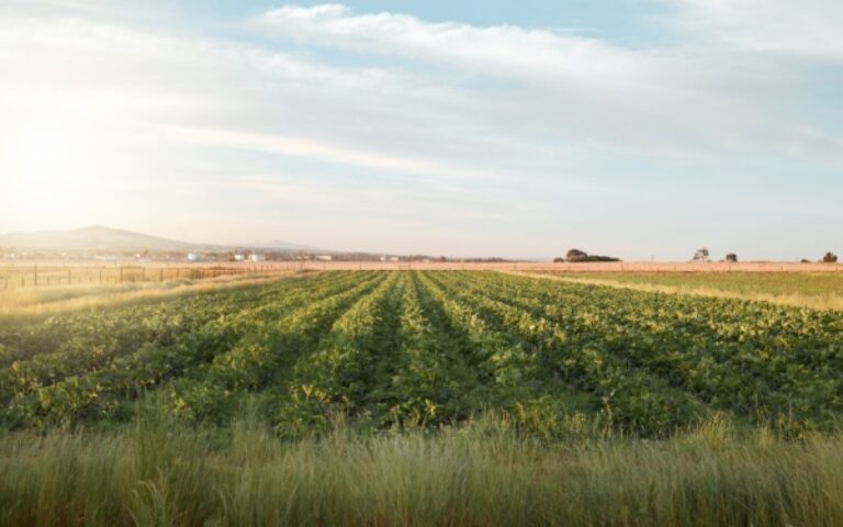 Tarifs des Notaires – Actes relatifs principalement aux baux et à la gestion des biens immobiliers et fonciers – 2025
