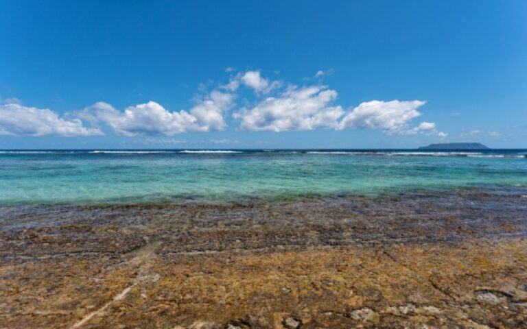 Indice des prix à la consommation en Guadeloupe – Année 2025