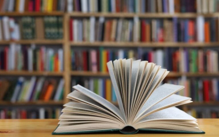 Indice de la production dans l’édition – Année 2025