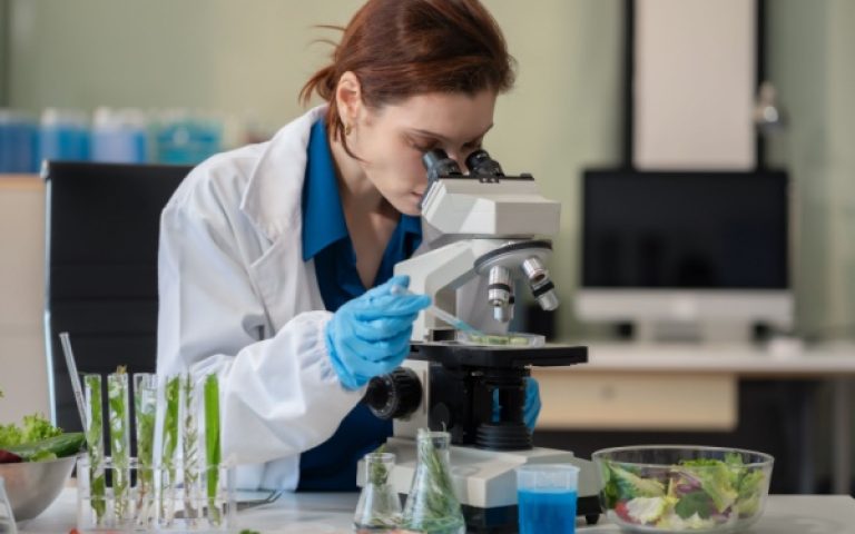 Indice du climat des affaires dans les activités spécialisées, scientifiques et techniques – 2026