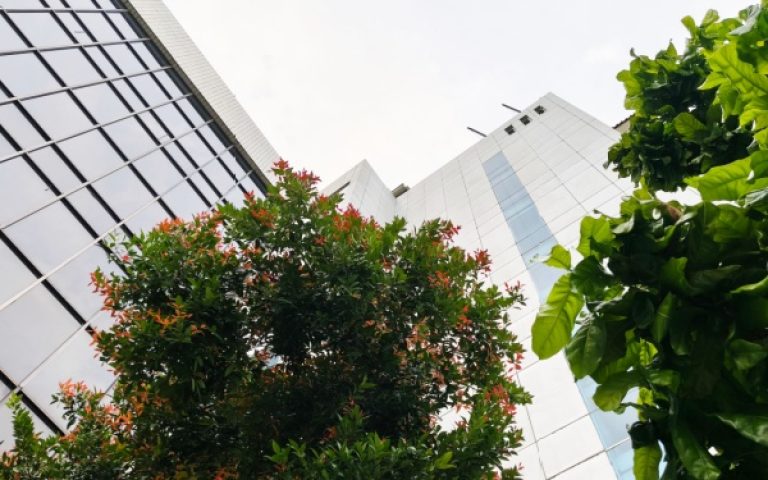 Indice de la production dans les activités immobilières – 2026