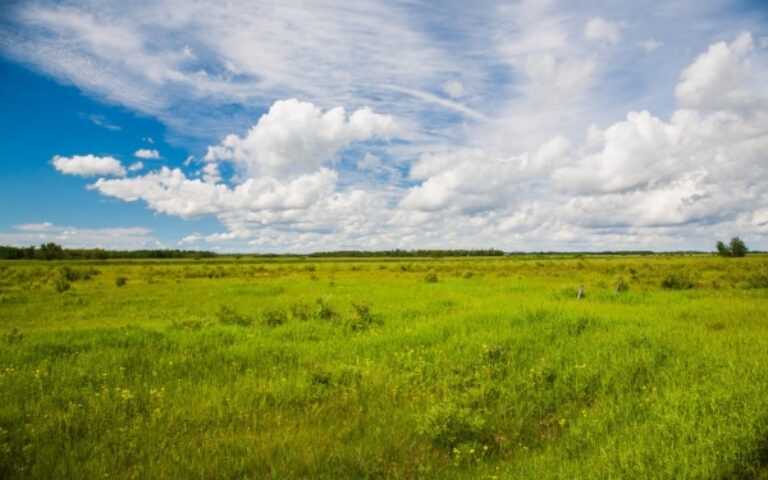 Valeur vénale moyenne des terres labourables et des prairies naturelles en 2024 pour les terres agricoles d'au moins 70 ares, libres à la vente