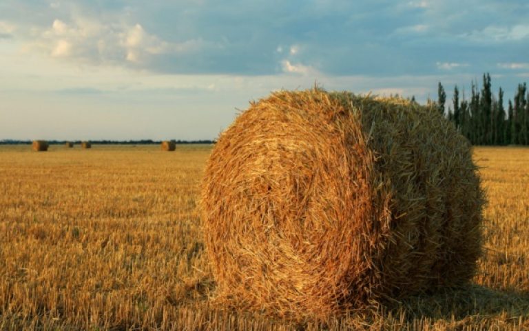 Régimes d’imposition des entreprises agricoles à l’impôt sur le revenu (bénéfices agricoles) – année 2026
