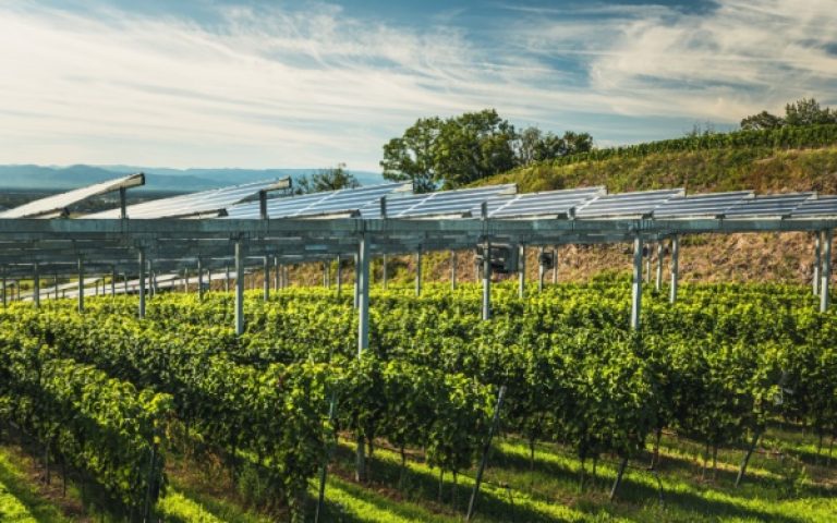 Simplification de la vie économique : faciliter l’innovation industrielle