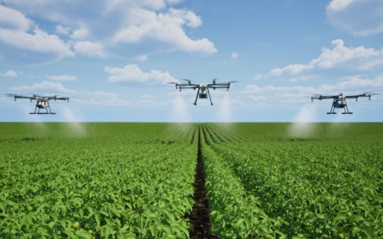 Produits phytosanitaires : détails sur la pulvérisation par drone